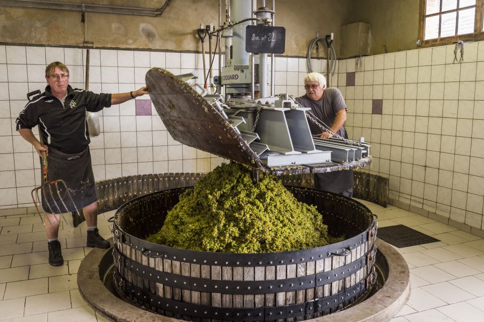 Paris: Two Reims Champagne Vineyards with Tastings and Lunch - Why Reims Works for a Champagne Day Trip From Paris