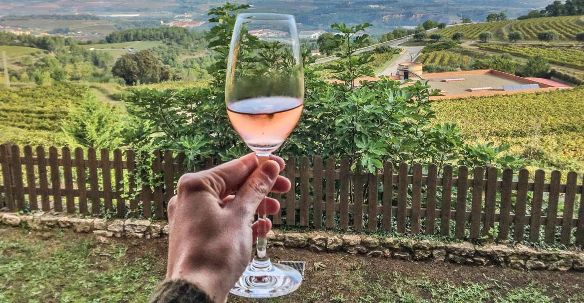 Paris: Two Reims Champagne Vineyards with Tastings and Lunch - Getting There: Gare de l’Est, the Fast Train, and Vineyard Car Transfers