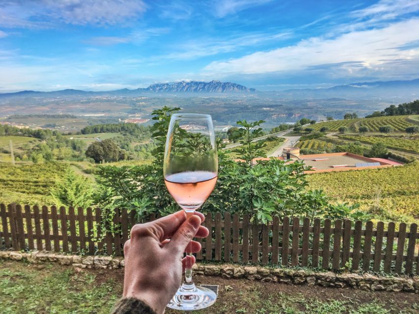 Paris: Two Reims Champagne Vineyards with Tastings and Lunch - Mailly Grand Cru and the Practical Side of a Second Tasting Stop