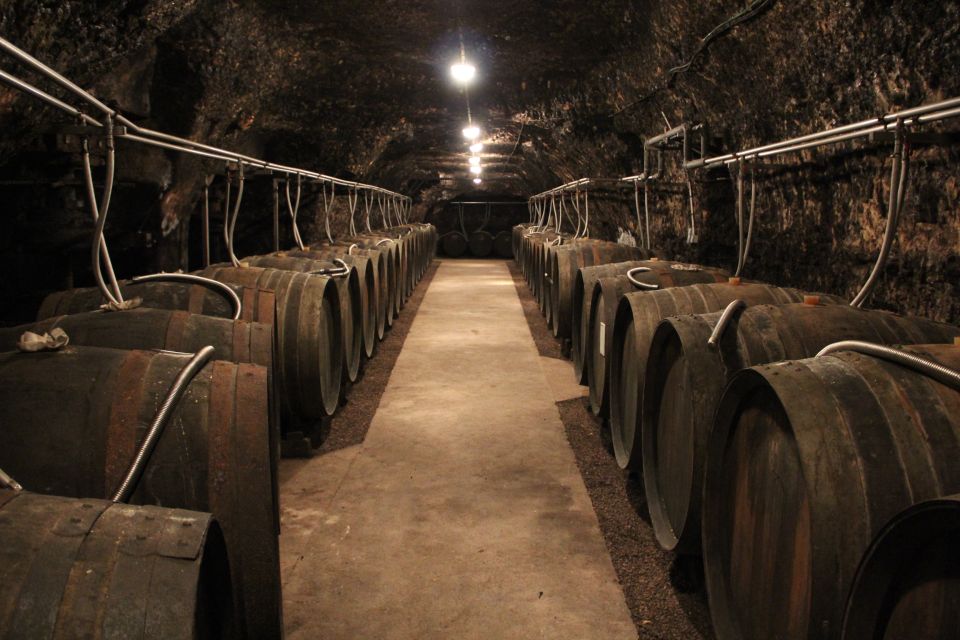 Private Day Tour to Loire Valley Castles & Wines from Paris - Vineyard scenery and a vine-growing introduction: learn the grapes before you taste