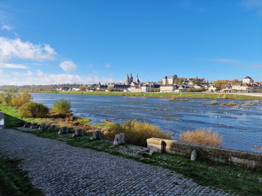 Private Day Tour to Loire Valley Castles & Wines from Paris - Boutique winery tastings: sparkling whites, reds, and rosé when available