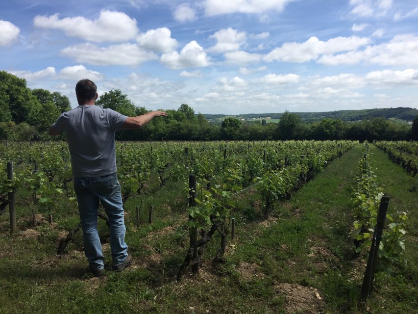 Private Day Tour to Loire Valley Castles & Wines from Paris - Guide quality matters more than you think