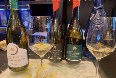 Private Exquisite Red & White Burgundy Wines Trip from Paris - Road time and timing: making the 14.5-hour schedule work