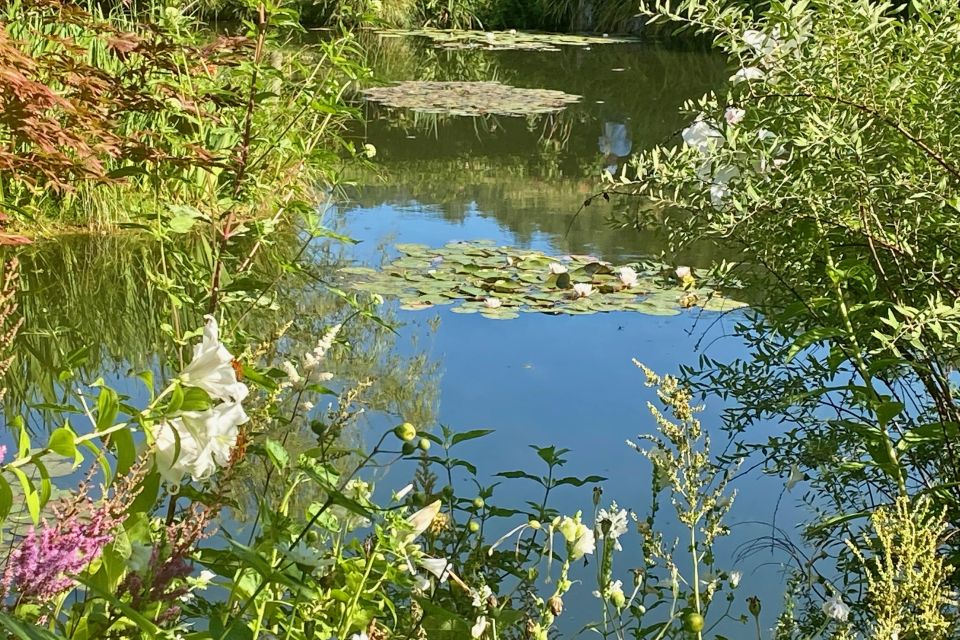 Private Trip Giverny Versailles Trianon from Paris - The Versailles Palace Experience: Skip-the-Line Plus Audio Guide Power