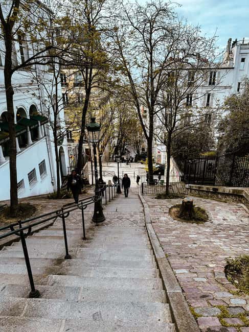 Sacré-Cœur de Montmartre Guided Tour - Vineyard walking: Vigne du Clos Montmartre to Place du Tertres