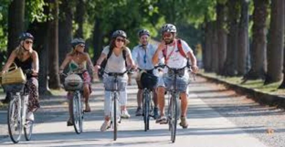 The Best of Paris by Bike with a Local - Île de la Cité to the Cour Carrée: classic Paris made readable